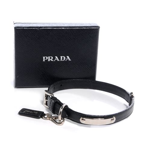 prada haustier|Prada dog collars.